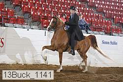 13buck_1141 proof