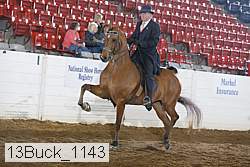 13buck_1143 proof