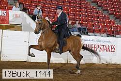 13buck_1144 proof