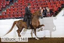 13buck_1148 proof