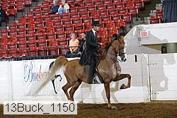13buck_1150 proof