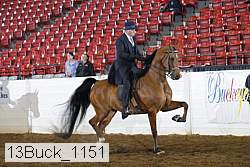 13buck_1151 proof