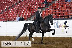 13buck_1152 proof