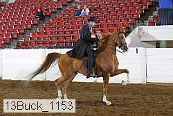 13buck_1153 proof