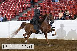 13buck_1154 proof