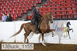 13buck_1155 proof