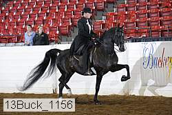 13buck_1156 proof