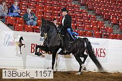 13buck_1157 proof