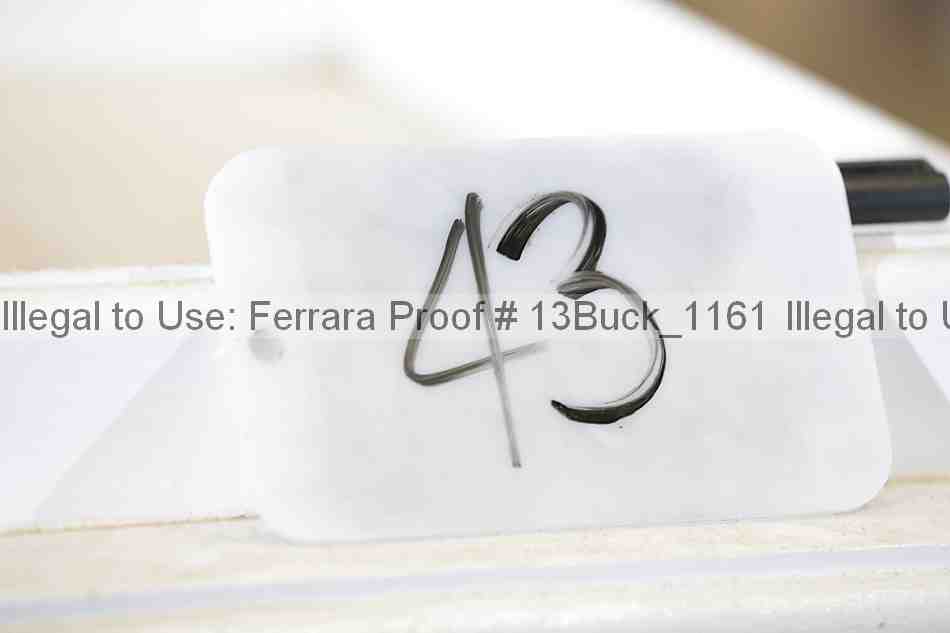 Proof 13buck_1161