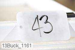 13buck_1161 proof