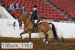 13buck_1162 proof