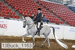 13buck_1163 proof