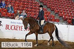 13buck_1164 proof