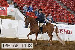 13buck_1168 proof