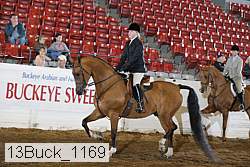 13buck_1169 proof