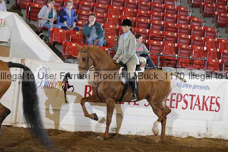 Proof 13buck_1170