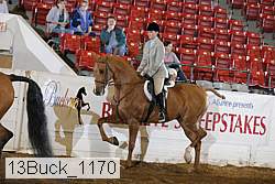 13buck_1170 proof