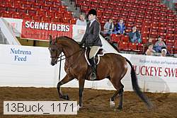 13buck_1171 proof