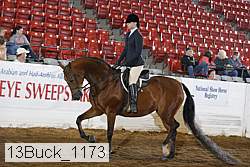 13buck_1173 proof