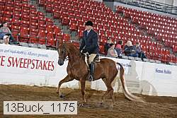 13buck_1175 proof