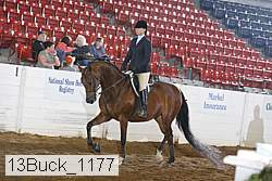 13buck_1177 proof