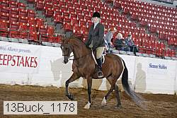 13buck_1178 proof