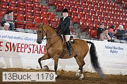 13buck_1179 proof