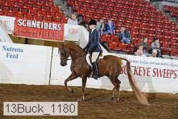 13buck_1180 proof