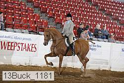 13buck_1181 proof