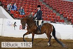 13buck_1182 proof
