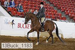 13buck_1183 proof