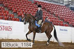 13buck_1184 proof