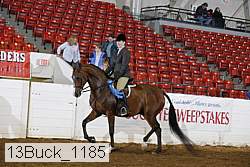 13buck_1185 proof