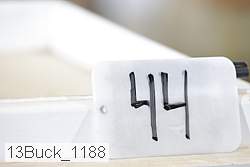 13buck_1188 proof