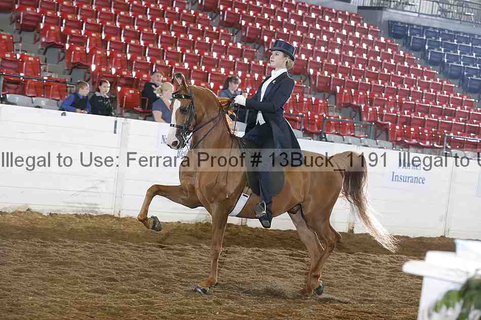 Proof 13buck_1191