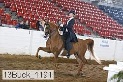 13buck_1191 proof