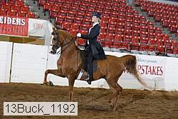 13buck_1192 proof