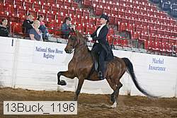 13buck_1196 proof