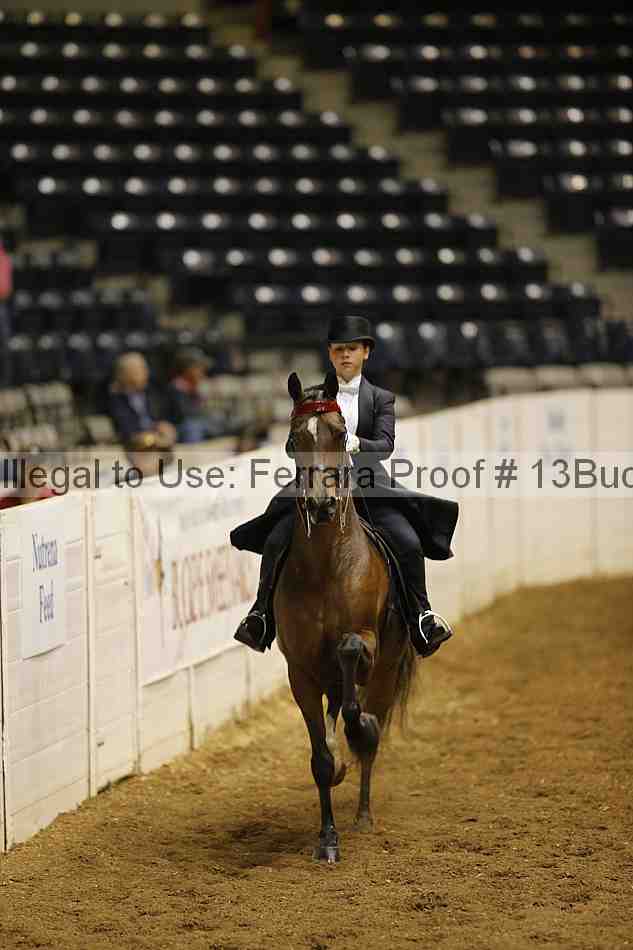Proof 13buck_1198