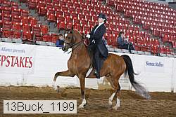 13buck_1199 proof