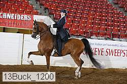 13buck_1200 proof