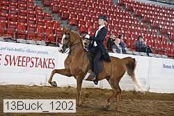 13buck_1202 proof