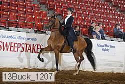 13buck_1207 proof