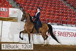 13buck_1208 proof
