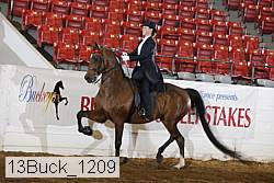 13buck_1209 proof