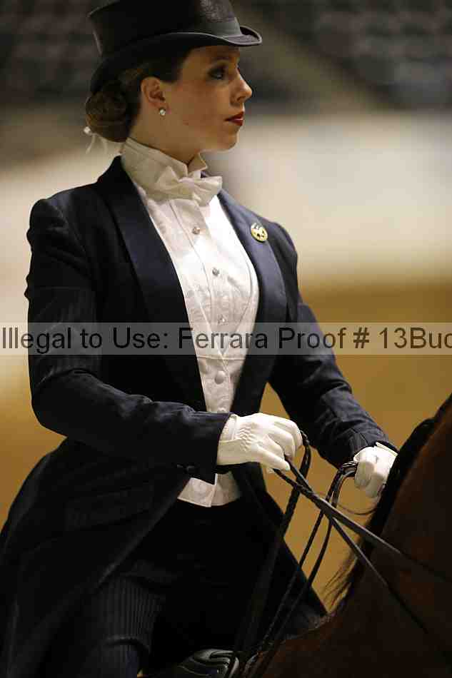 Proof 13buck_1212
