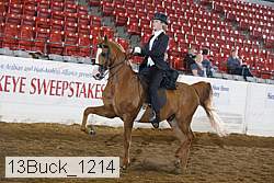 13buck_1214 proof