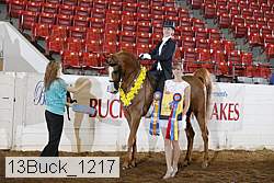 13buck_1217 proof