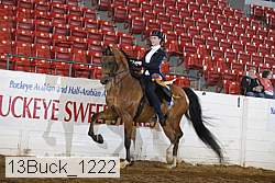 13buck_1222 proof