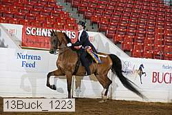 13buck_1223 proof